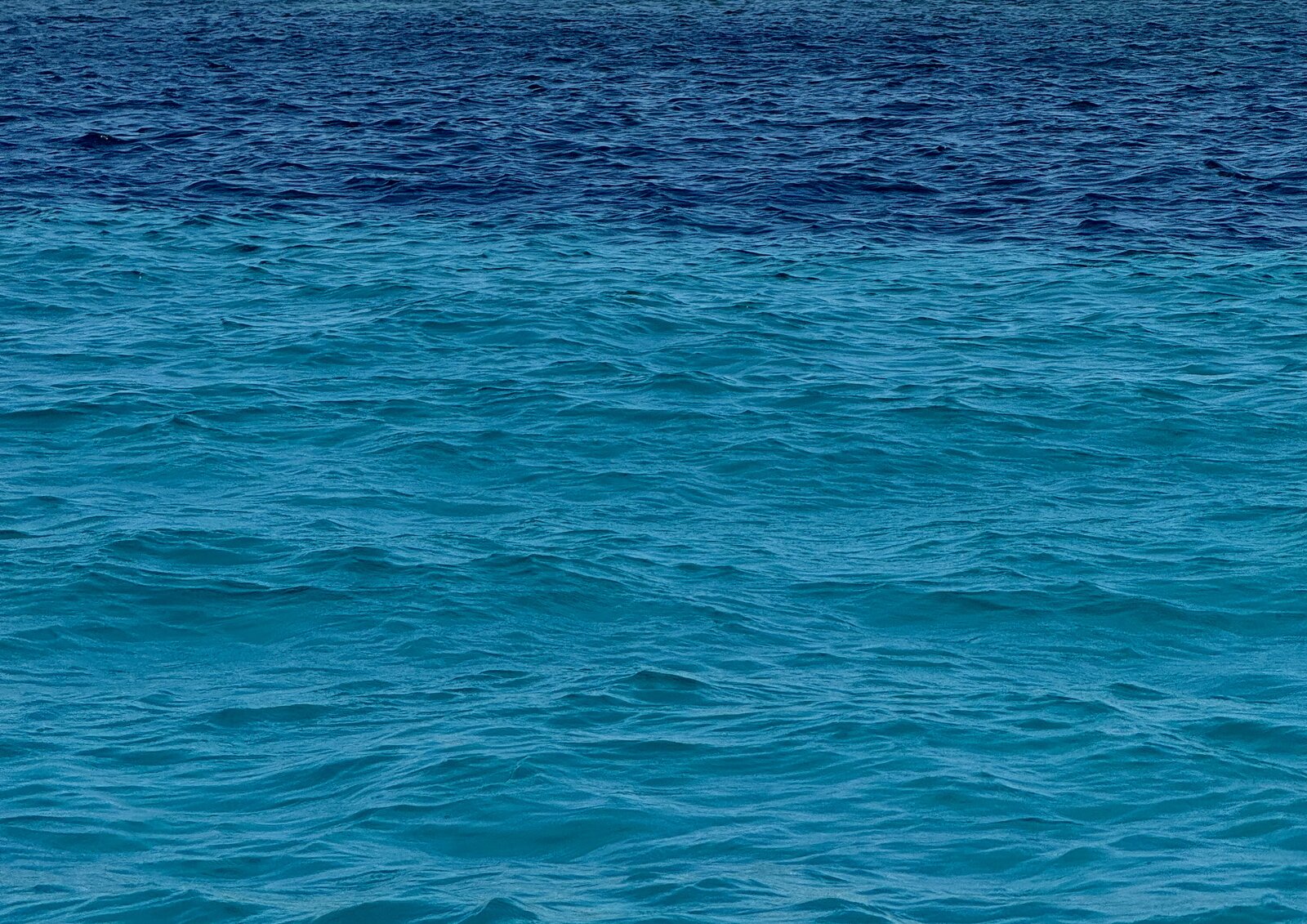 Photo by Zoë Fossé