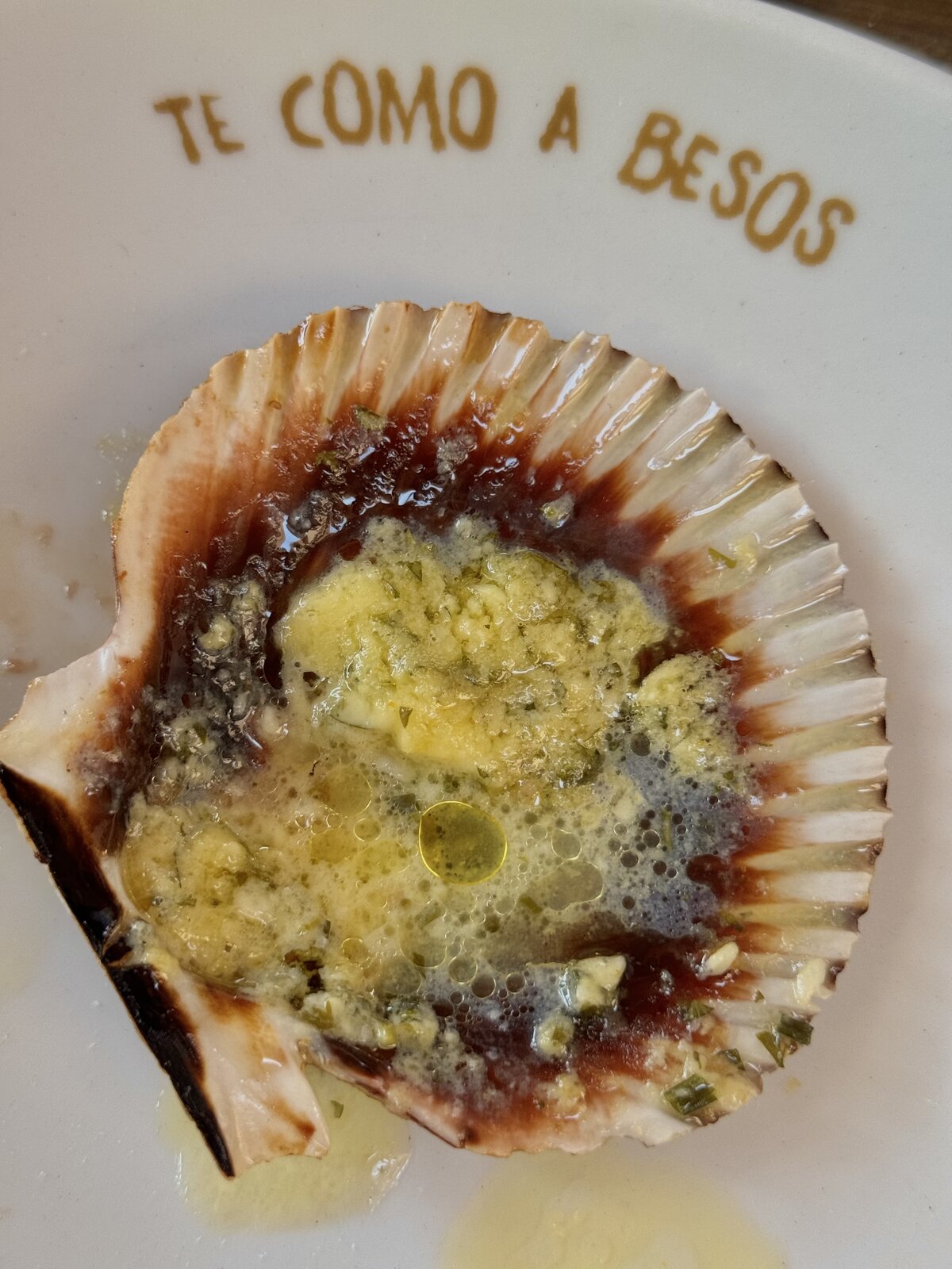 Photo by Zoë Fossé