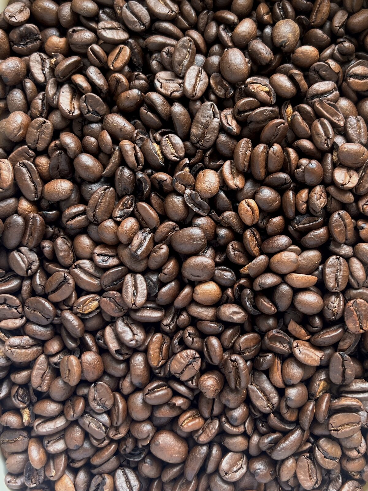 Photo by Zoë Fossé