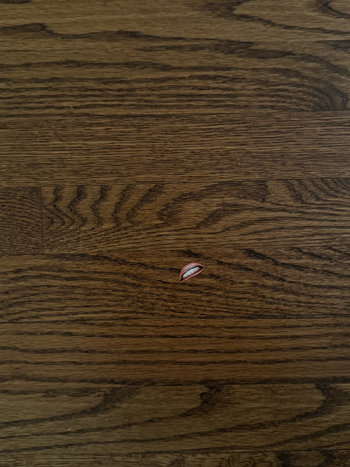 Photo by Zoë Fossé